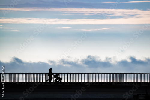 People in silhouette standing on a bridge over a sea © nellino7