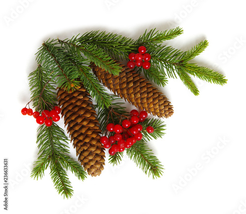  fir branches isolated on a white background