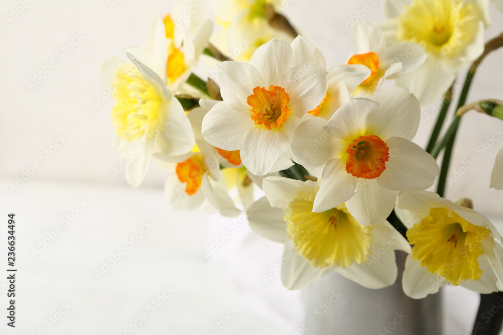 White and yellow spring flowers White and yellow spring flowers