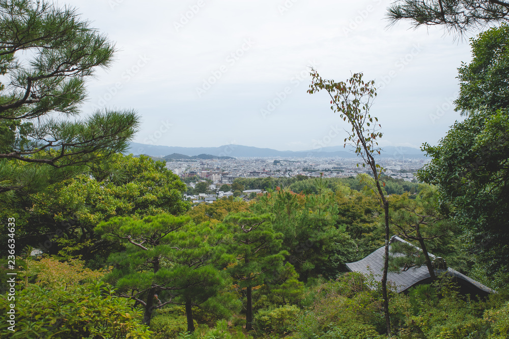landscape in the kyoto japan