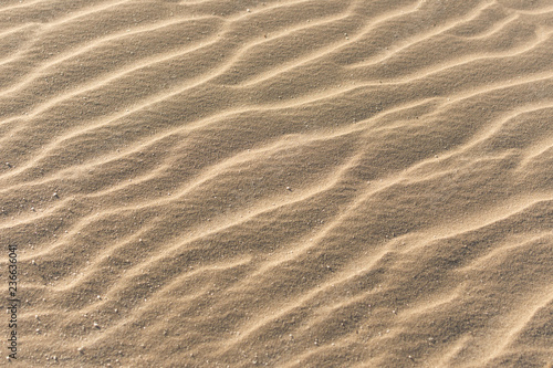 Sand and wind texture. Golden sand beach background.