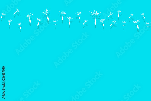 Dandelion vector illustration for the textiles, wallpapers, decorations.