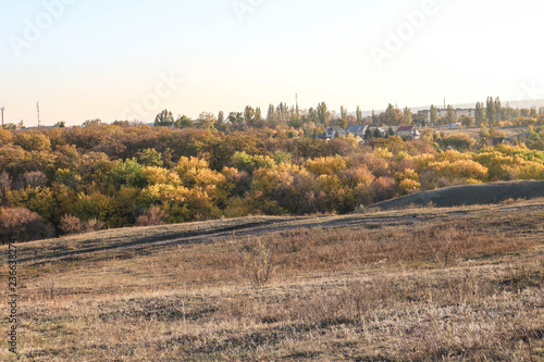 landscape in autumn