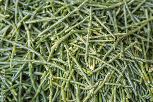 A full frame photograph looking down on a pile of samphire, for sale on a market stall