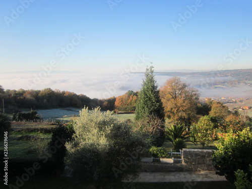 landscape in autum