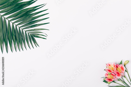 Minimal flat lay composition of tropical palm leaf
