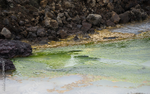 Kieselalgen in der Blauen Lagune "Bláa Lónið" - Island 