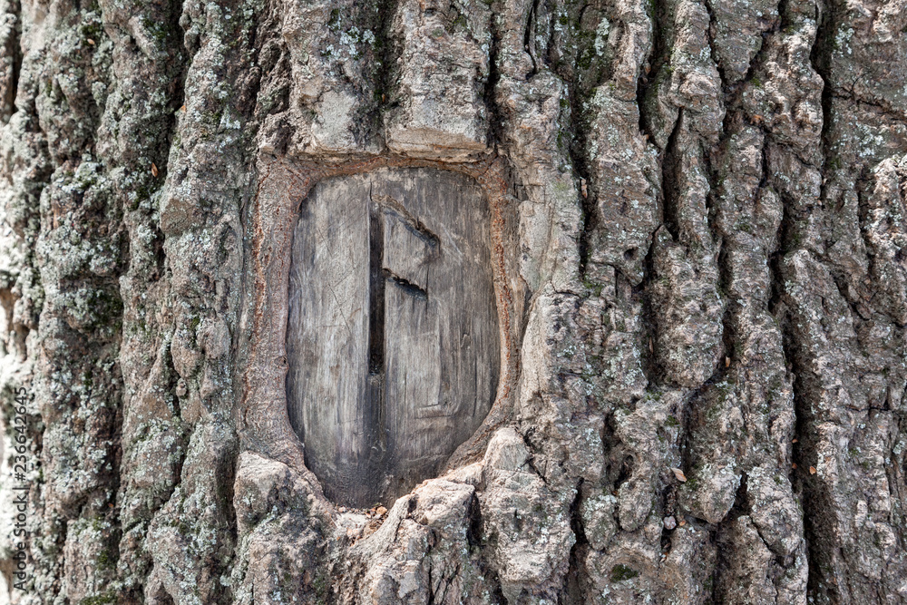 Fototapeta premium Rune Symbol Ansuz