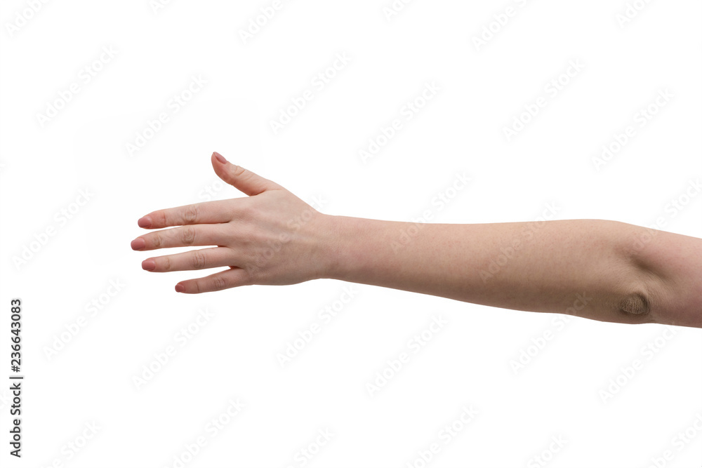 Hand. Pointer and navigator. Lady boss, feminism. Woman power. A female hand outstretched covering isolated on a white background. Woman hand making sign.