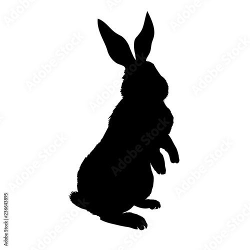 rabbit silhouette - vector illustration