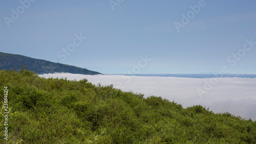 Mar de nubes subiendo al Teide, carretera TF-21
