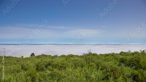Mar de nubes subiendo al Teide, carretera TF-21