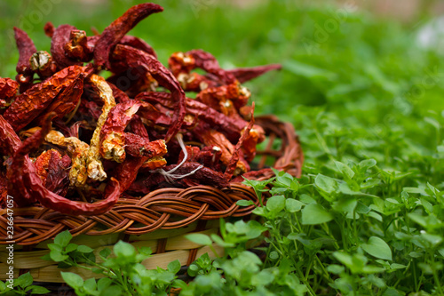 Natural red hot dry chili pepper in basket