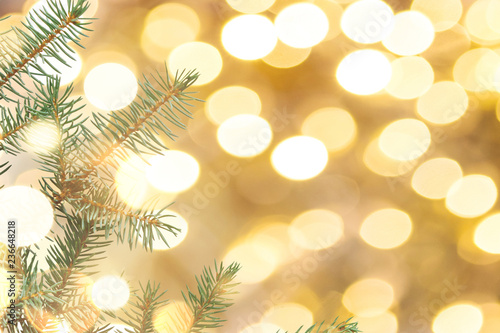 Christmas or New Year background. Green branch of the Xmas tree on a golden background.