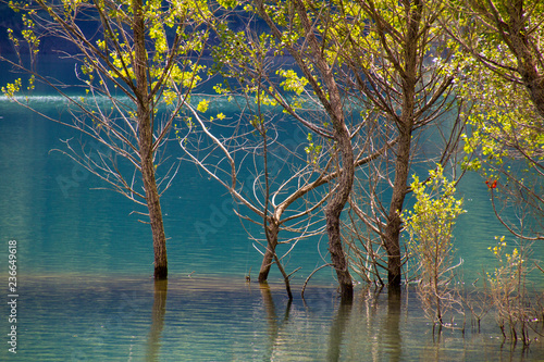 Lago del Brugneto, Liguria photo