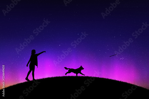 Girl trains dog in park at night. Vector illustration with silhouettes of woman and running pet. Northern lights in starry sky. Colorful aurora borealis