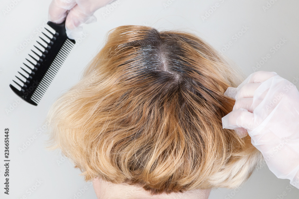 Obraz premium Dark roots of hair, overgrown hair