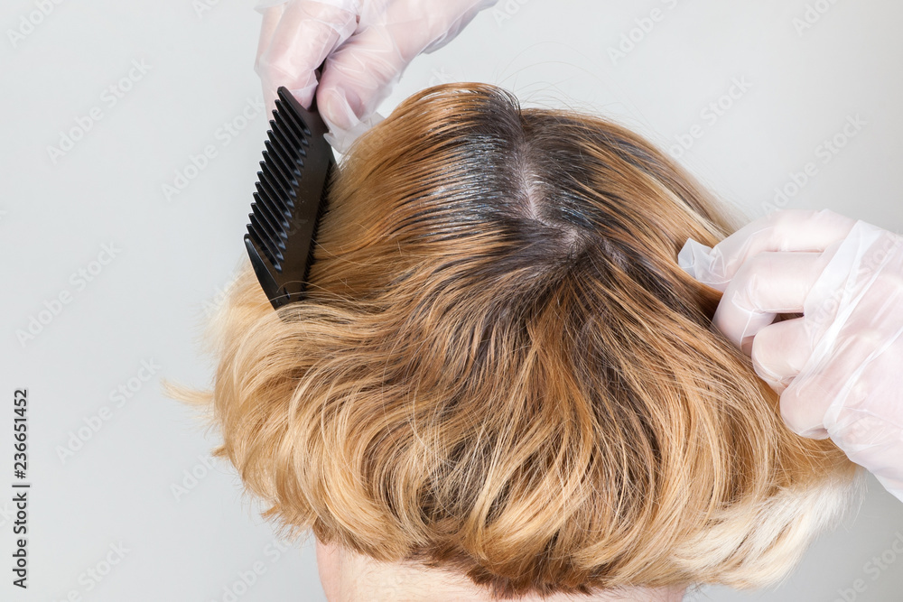 Fototapeta premium Dark roots of hair, overgrown hair