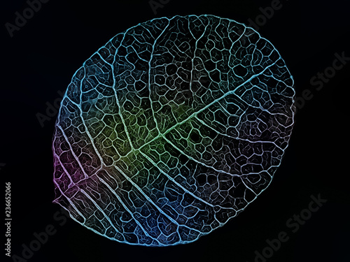 Fractal Leaf