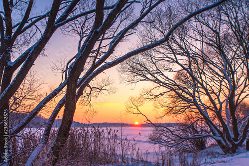 Sunset winter landscape with snow-covered lake in violet and pink colors