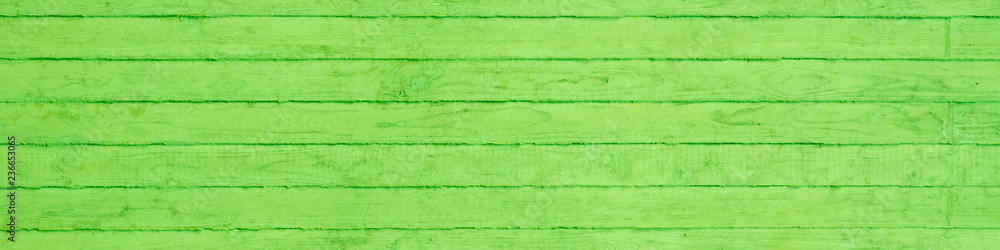 Fototapeta premium Betonwand Header 4:1 mit waagerechter Lattenschalung - in Grün