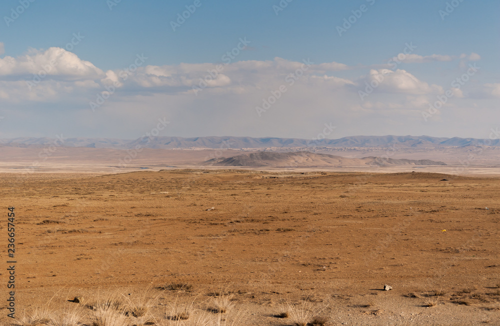 Mongolian wild steppe