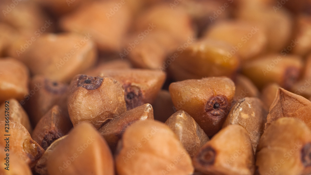 Macro image of buckwheat grain, food, background Macro image of buckwheat grain, food, background