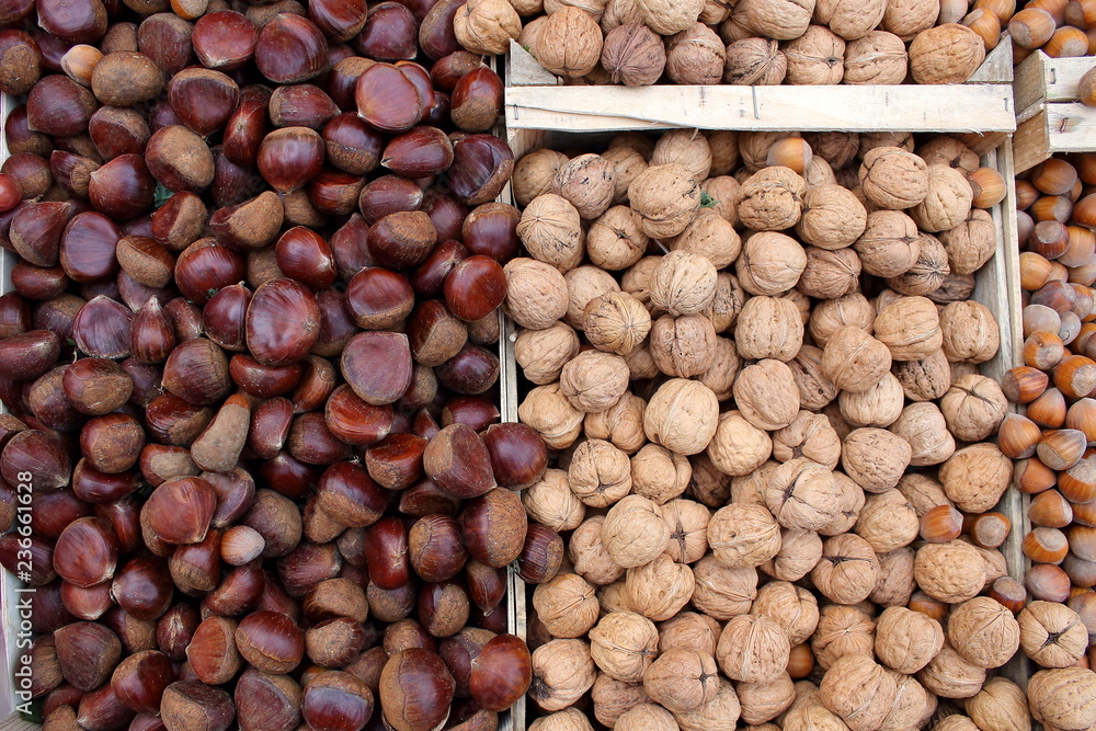 Many walnut and hazelnuts brown nuts in shell on the market background pattern Many walnut and hazelnuts brown nuts in shell on the market background pattern