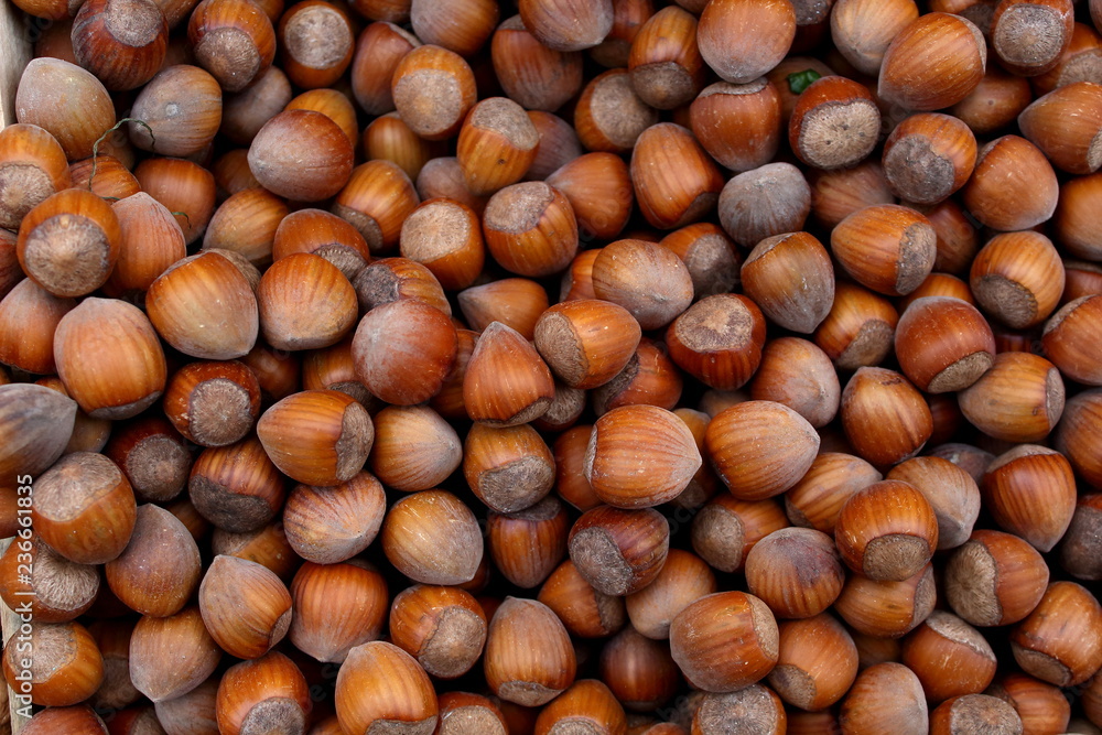 Many hazelnuts brown nuts in shell on the market background pattern Many hazelnuts brown nuts in shell on the market background pattern