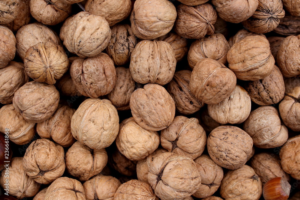 Many walnut brown nuts in shell on the market background pattern Many walnut brown nuts in shell on the market background pattern