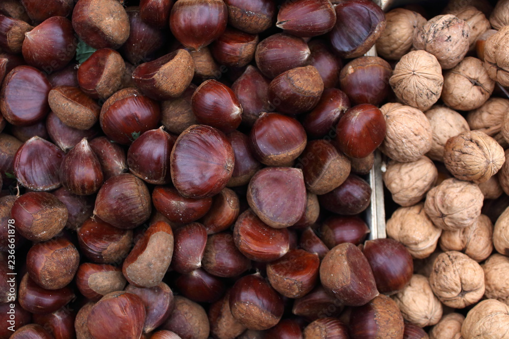 Many walnut brown nuts in shell on the market background pattern Many walnut brown nuts in shell on the market background pattern