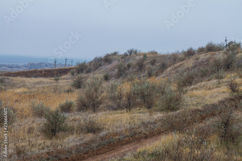 the last days in the Tavrian steppe photo