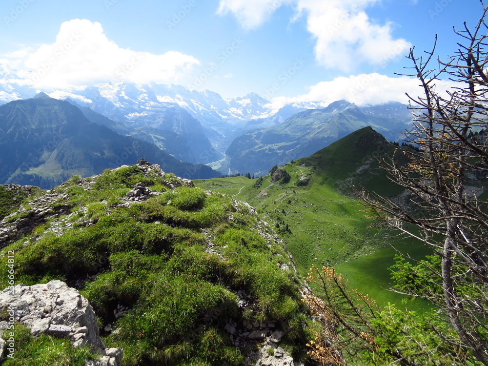 mountains in the austrian alps