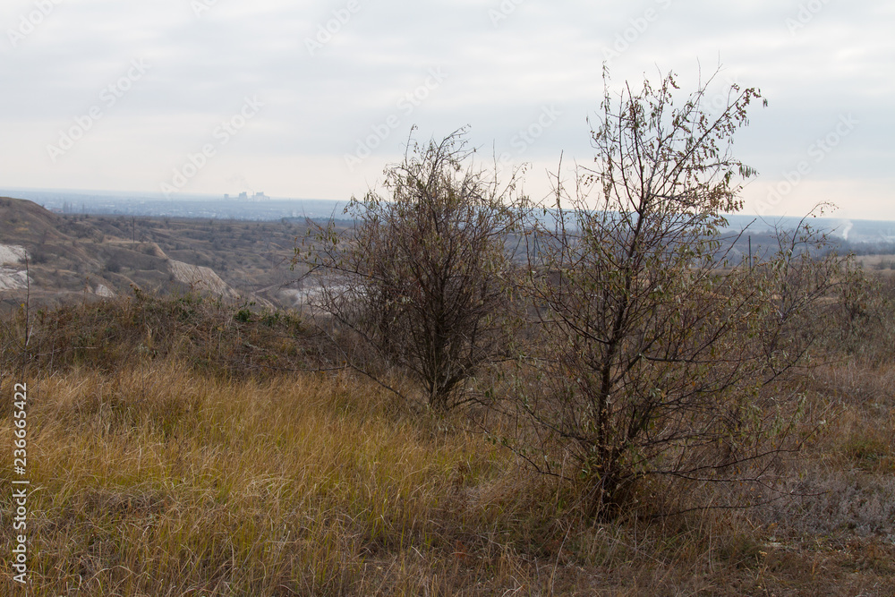 the last days in the Tavrian steppe the last days in the Tavrian steppe
