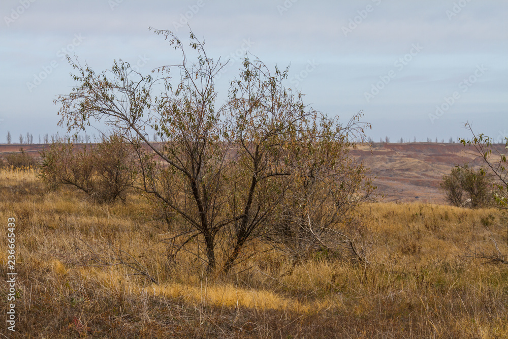the last days in the Tavrian steppe the last days in the Tavrian steppe