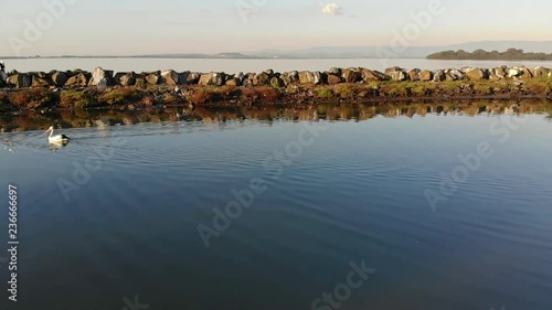 A collection of drone footage of Pelicans on a lake. photo