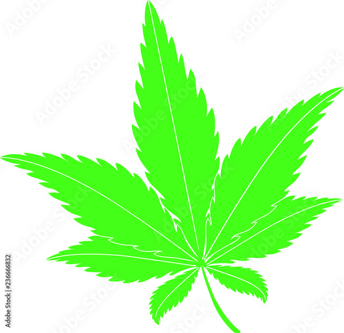 cannabis hemp, marijuana, leaf, green