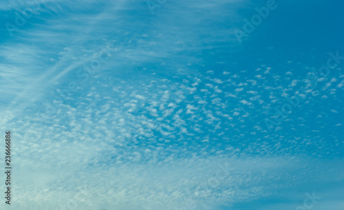 Cloudscape of Small Cirrocumulus Clouds