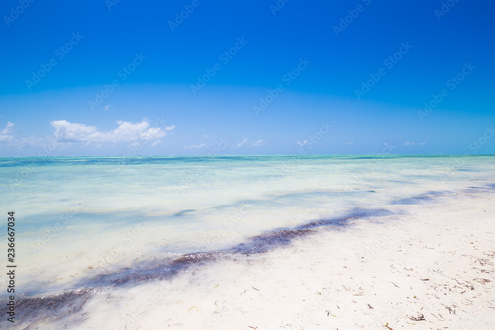 Zanzibar, landscape sea, white sand