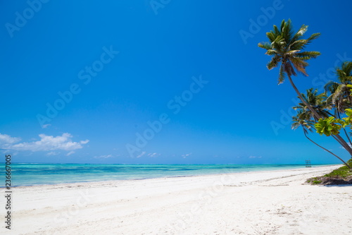 Fototapeta Naklejka Na Ścianę i Meble -  Zanzibar, landscape sea, palms beach