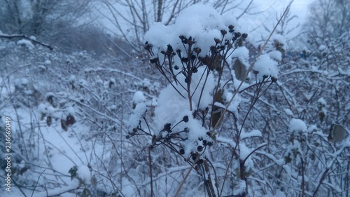 Wallpaper Mural The light far away Torontodigital.ca