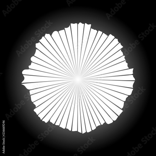 Rays of halo light and catholic rays isolated on black. Art tattoo reference template. Silver symbol of religion pride and glory. Angel and saints ring nimbus. Vector.