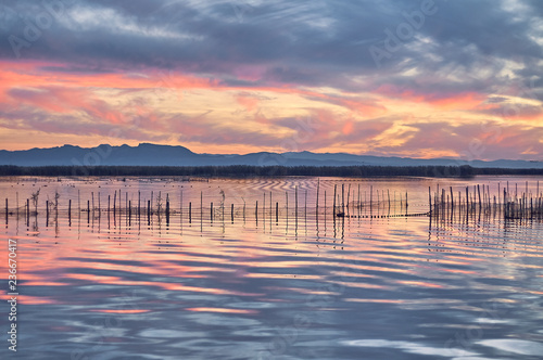 Sunset in the calm waters of the Albufera de Valencia  Spain.