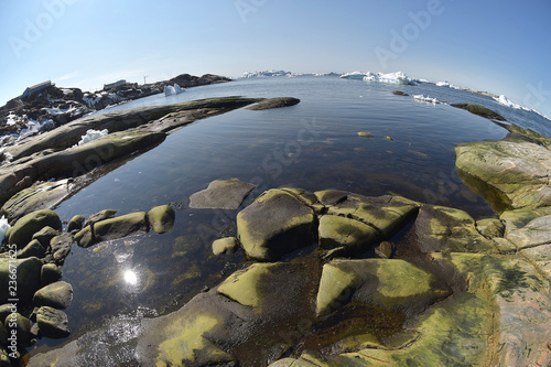 Icebergs and Arctic Ocean Life in Greenland