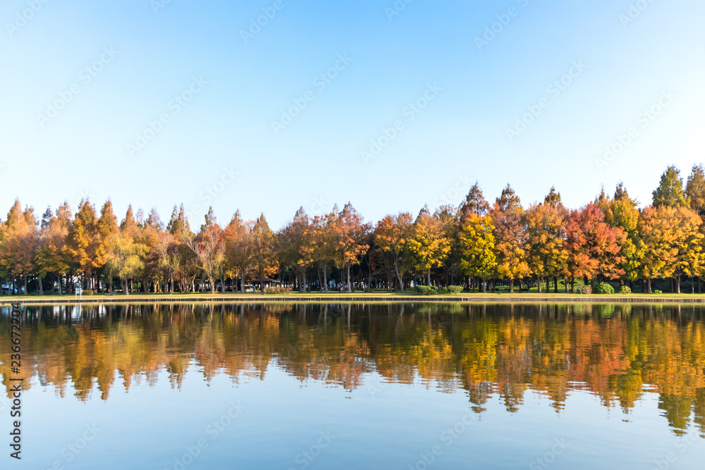 Obraz premium (東京都ｰ風景)水面に映る紅葉する木々６