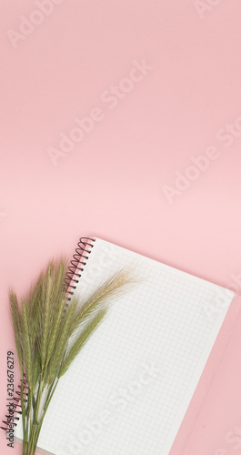 Blank notebook with wheat spike on pink background. Business and instagram concept