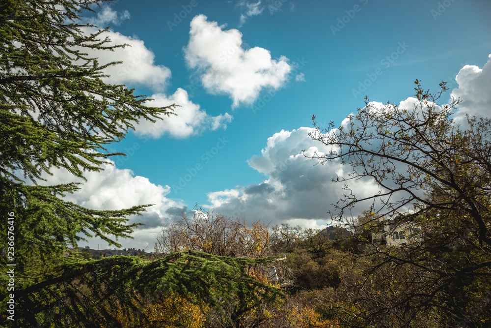 Fototapeta premium Autumn Nature