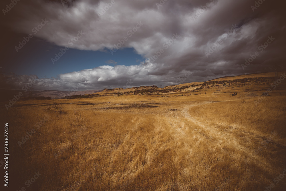 A storm approaches in the fields of the eastern Columbia Gorge