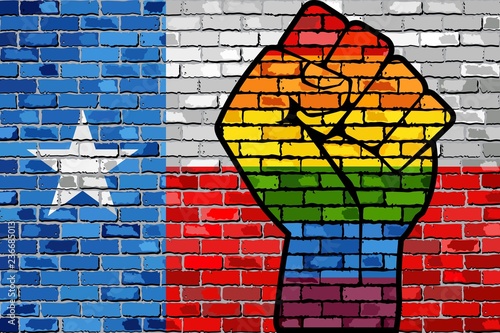 LGBT Protest Fist on a Texas brick Wall Flag - Illustration, 
Brick Wall Texas and Gay flags