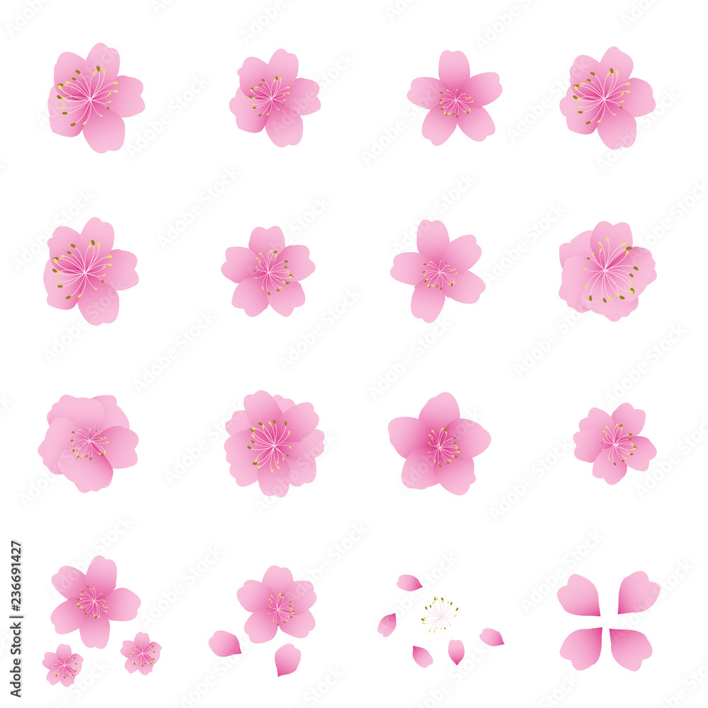Sakura flowers icon set , cherry blossom vector illustration Sakura flowers icon set , cherry blossom vector illustration